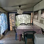- Park Campingplads *