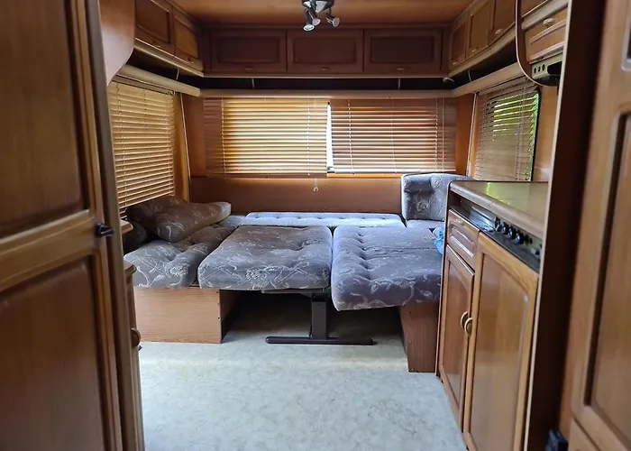 - Park مكان تخييم