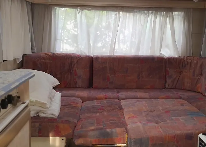 - Park * Владыславово