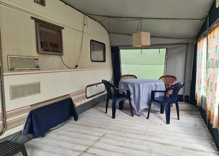 - Park مكان تخييم *