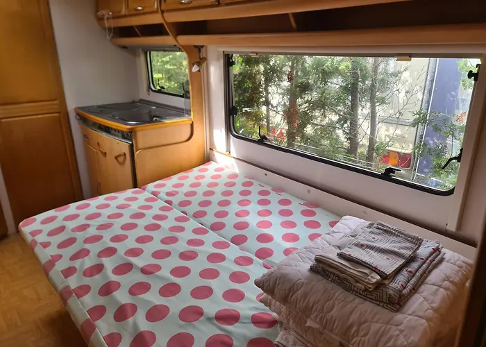 Кемпинг - Park